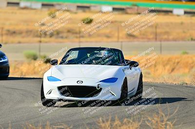 media/Sep-08-2024-VIP Trackdays (Sun) [[e20bd699b9]]/A Group/Session 1-Turn 2/